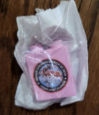 Legoland Florida Grand Opening