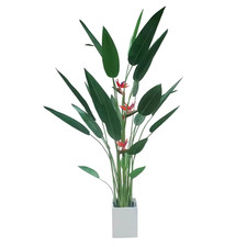 Pianta Artificiale Uccello del