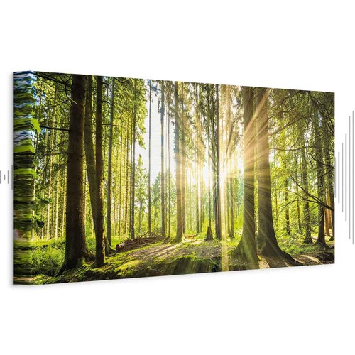 Quadro acustico pro - pro, da
