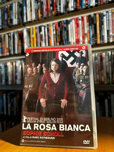 Rosa bianca sophie - la,