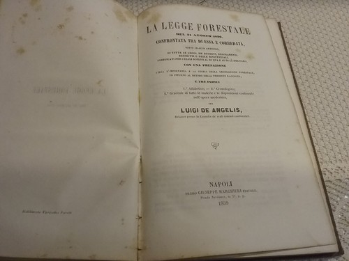 Luigi angelis legge - de,