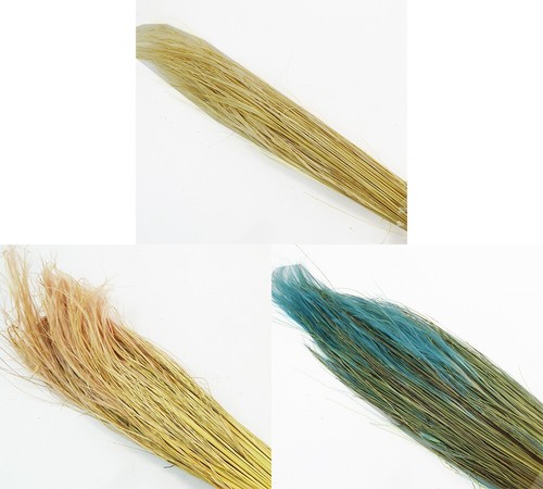Stipa pennata 100 naturale - gr,
