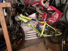 bicicletta bambino Mountain