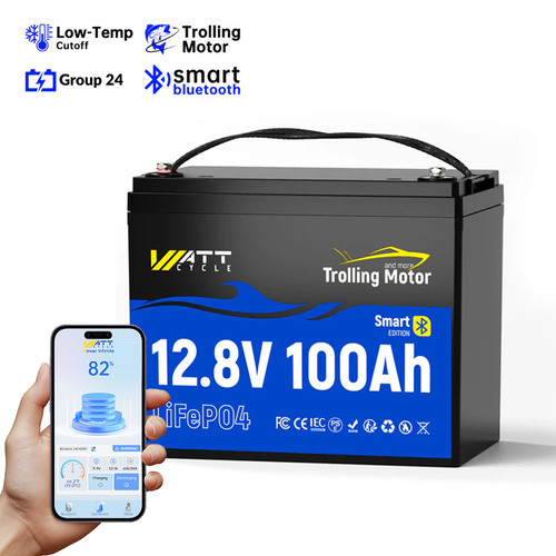 Motore trolling 12v 100ah - 12v,