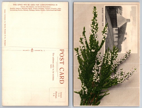 Cartolina affidabile burns - affidabile,