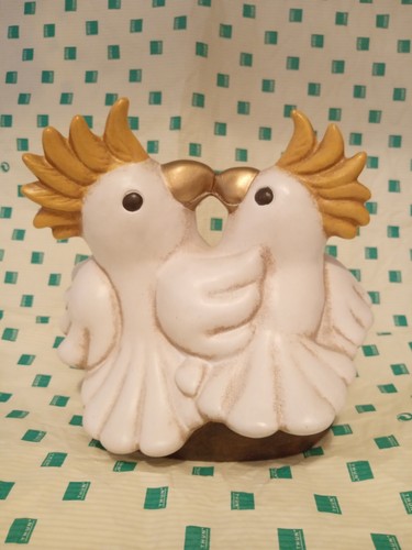 Coppia cacatua arca noe - cacatua,