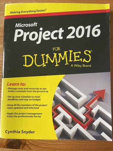 Project 2016 for dummies - 2016,
