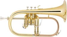 Flicorno corno set bocchino - set,