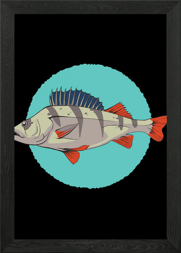 Illustrazione per sealife - illustrazione,