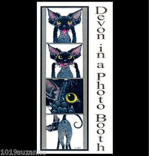  Devon Rex Cat art painting