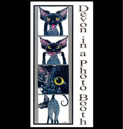 Devon rex cat art - rex, painting