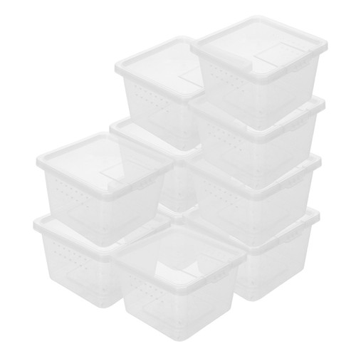 Pcs terrario lumache teca - ,