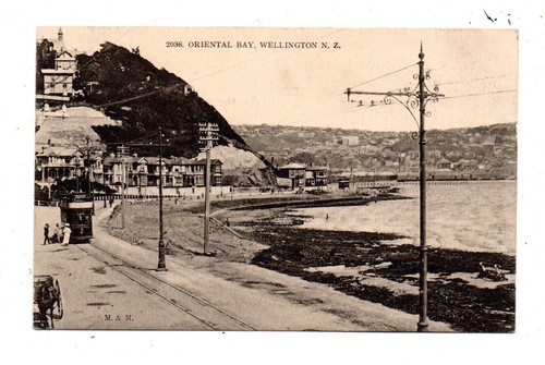 Wellington oriental bay - ~,
