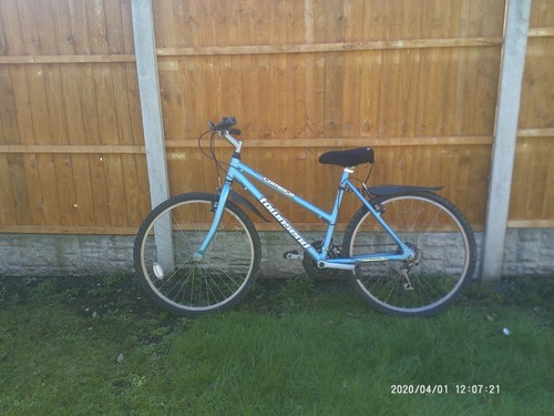 Bicicletta donna grande