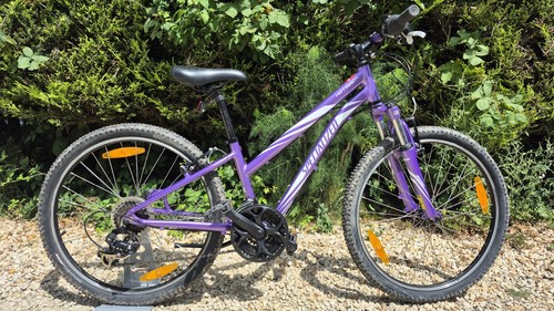 Mountain bike specialistica - mountain,