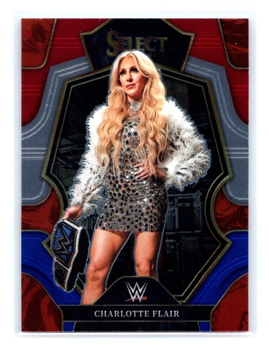 2023 panini select wwe 191 - panini,