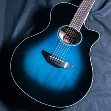 Chitarra elettrica acustica