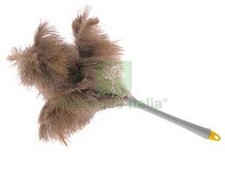 1PZ PIUMINO PIUME DI STRUZZO