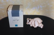 THUN - ORSO POLARE - CON