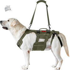 Invictus - dog harness