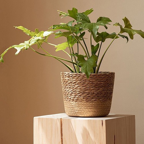 Vaso fiori tessuto - da,