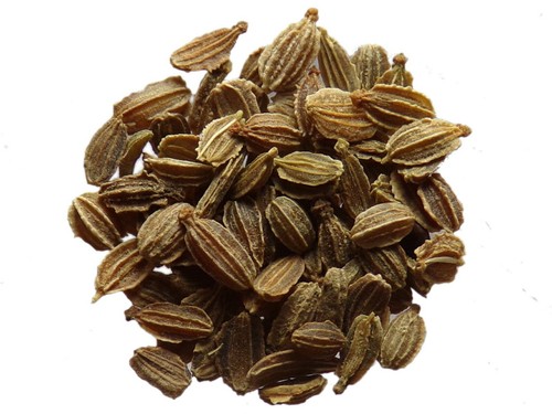 Carota trebbiatrice bianca - trebbiatrice,
