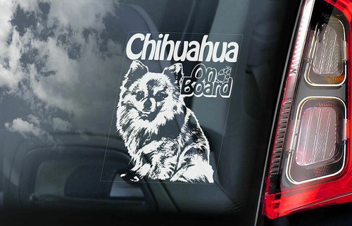 Adesivo auto chihuahua cane - auto,
