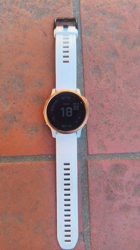 Garmin fenix pro orologio - 6s,