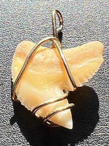 Dente squalo con montatura - montatura, in