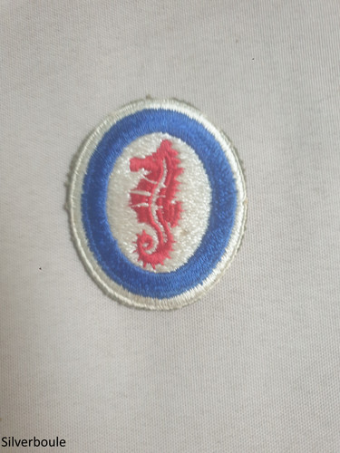 Badge tissu amphibious - badge,