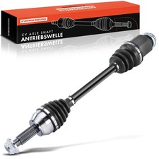 Frankberg semiasse anteriore - semiasse,