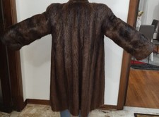Pelliccia Castorino Spitz XL