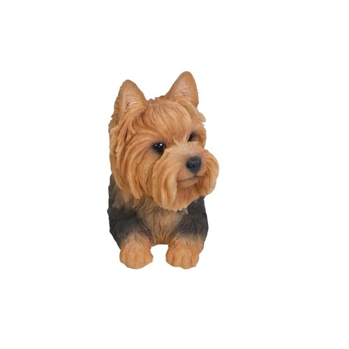 Yorkshire terrier lying down - terrier,