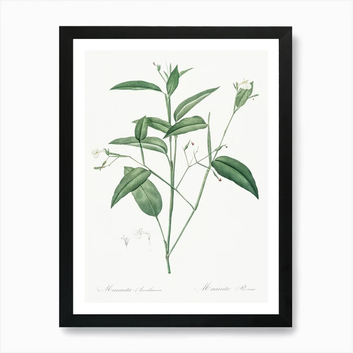Quadro stampa tela - quadro, su