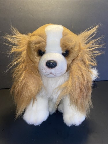 Peluche realistico collezione - peluche,