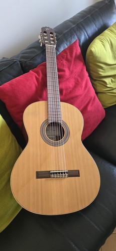Jose torres jtc chitarra - torres, jtc-5s