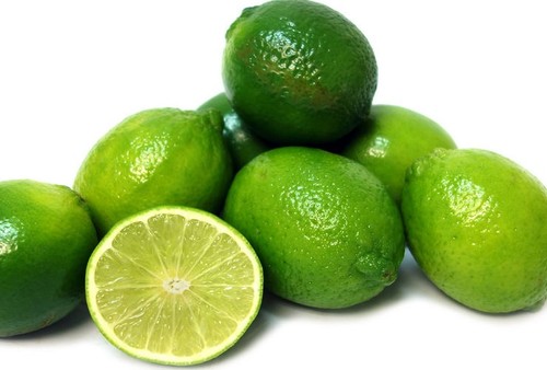 Pianta lime thaiti - lime, citrus
