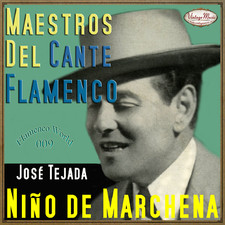 NIÑO DE MARCHENA CD Flamenco