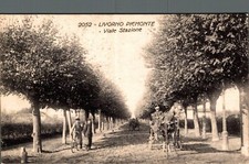 Vercelli Livorno Ferraris viale Stazione , Calesse cavallo F. piccolo  spedita