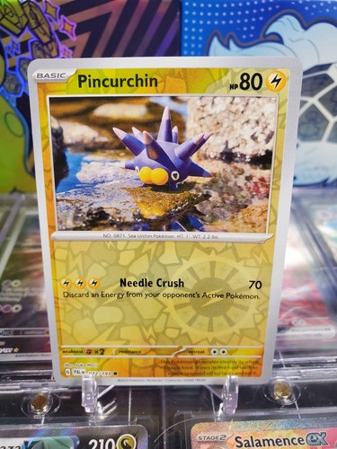 Pincurchin 072 193 reverse - 072/193,