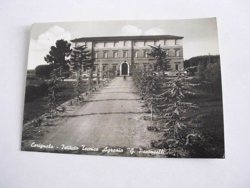 Foggia cerignola istituto - foggia,