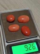 4 Large Japanese Coral