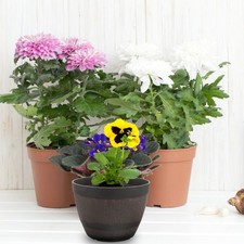  Portavasi Balcone Fioriera Da Esterno Grande Pentola All'aperto Fioriere