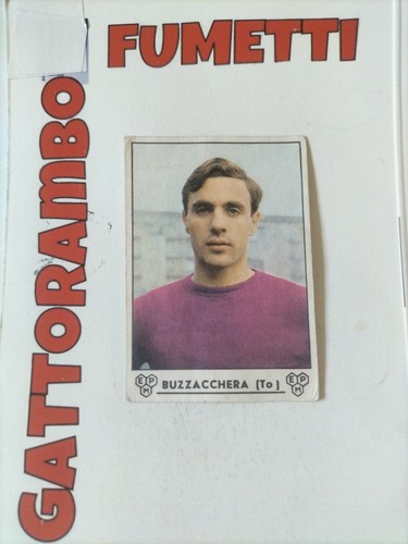 Figurine calciatori - figurine,