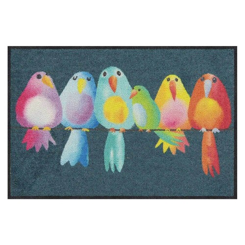 Zerbino salonloewe rainbow - salonloewe,