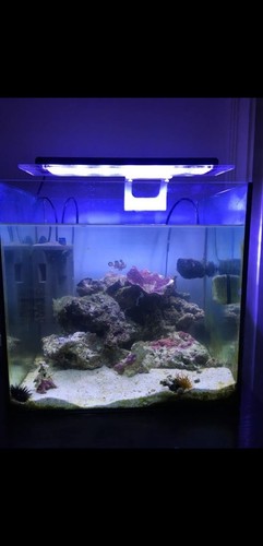 Lampada zetlight per - lampada, acquario