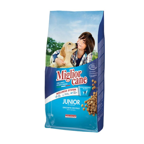 Morando miglior cane - morando, junior