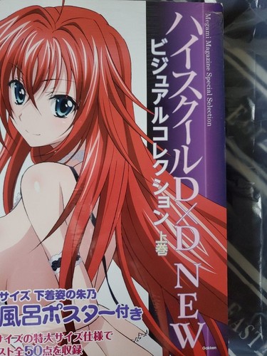 High school dxd visual - dxd,