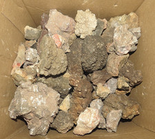 dalla sterlina esemplare di