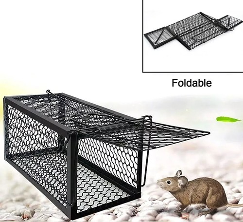 Gabbia cattura topi trappola - topi,